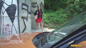 Fake Driving School - Two Hands on the Erection Yes on the Roadhead