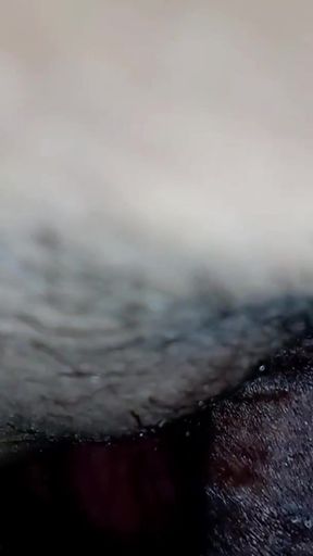 Wafi was hot in the video of and started sucking my   Clip 3