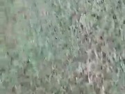 Getting Naked Outdoors and Rubbing My Sissy Clit