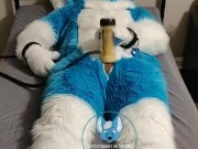 Murrsuiter milks himself