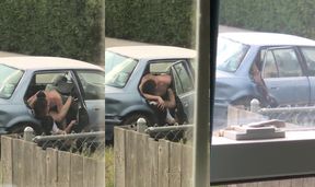 Caught Horny Couple Fucking In Public