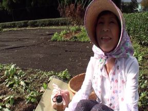 Mature Woman Who Runs a Tea Plantation in Shizuoka, Decides to Appear Av a Few Years Ago
