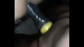 10&rdquo_ bbc breeds white bottom