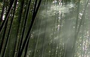 Jap ancient prisoner aya bondage & sweaty