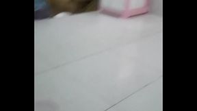 Chim m&igrave_nh c&oacute_ nhỏ qu&aacute_ kh&ocirc_ng ạ ?