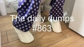 The daily dumps #863 mp4