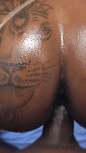 Thick Slut Getting Her Back Blown Out by Local Rapper