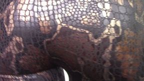 Snakeskin Ass Charm JOI (mkv)