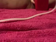 Chubby FTM Trans takes small knot [CREAMPIE]
