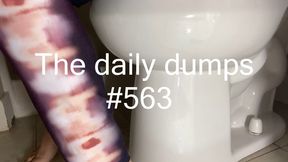The daily dumps #563 mp4