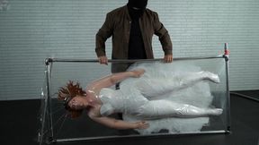 Sonya and her dress were packed and turned over as they saw fit