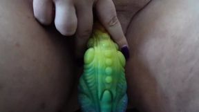 The Continuation of the Small Impression, with My Colorful Dragon Dildo.