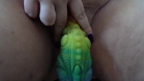 The Continuation of the Small Impression, with My Colorful Dragon Dildo.