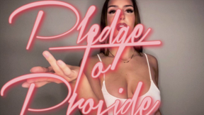 Pledge To Provide