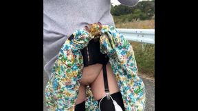 Instruction from the trainer No. 1 Exposure walk in the daytime