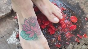 A man's foot stepping on tomatoes, enjoy.