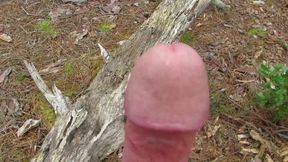 Naked Boner Walk in Public Forest Part 6