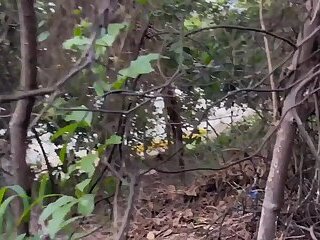 I was in F1 and I met Ronny Aislan on the trail and ate him - Watch in full