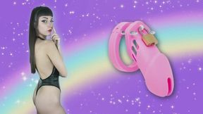 Sniff & suffer - aromatic chastity mindfuck loop