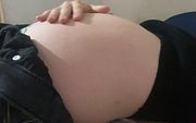 Sexy belly stuffed