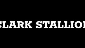 missionary pounding (clark stallion x ellah banks)