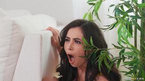 Call The Whambulence My BF Is A Cheater Lily Lou, Chloe Surreal Brazzers