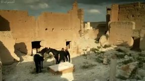 Marie Espinosa, Dany Verissimo-Petit and Others - C`est Gradiva qui vous appelle (2006)