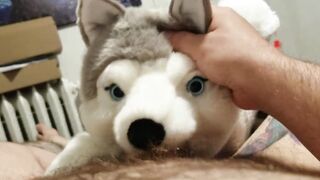 Oral Sex from my plushie husky and finished with a masturbation