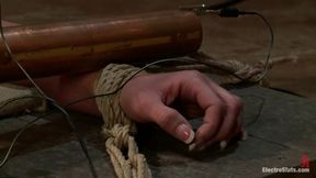 Big Tittied Sub Whore Phoenix Can&#039;t Get Enough Electrosex Punishment!