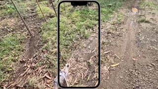 Connecting with Nature 🌾 | Adventure in the Countryside