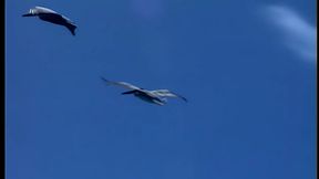 As you can see Maddie is comfortable on the massage table and she'_s totally into it when...