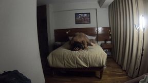 elchicodelpeinadofollador culona arecha pide sexo mientras la grabo y aca esta el detras de camaras