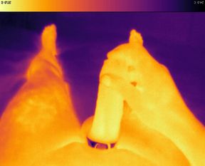 Jerking off with cock ring on thermal camera