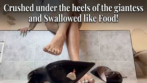 Crushed under the heels of the giantess and Swallowed like Food!