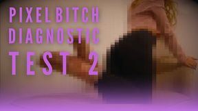 PIXEL BITCH DIAGNOSTIC TEST 2