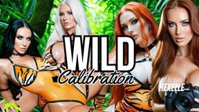 WILD CALIBRATION