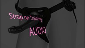 AUDIO ONLY - Strap on training audio