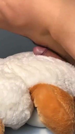Teddy Orgasm Morning Dirty Talks Solo Cum