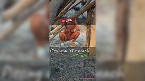 Piss compilation on the beach