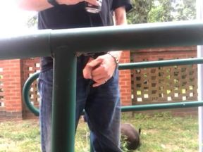 Back yard wanking