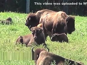 voyeur cam live with my during my vacations