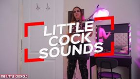 Big Urethral Sounds For A Small Cock Cuck