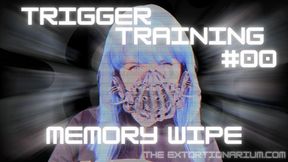 Trigger Training #00 - Memory Wipe