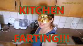 Stinking Up My Kitchen 2 - Facefarts, Farting, Public Farting, Ass Worship, Ass Fetish, Jeans Fetish, Jeans Face Sitting, Solo Female