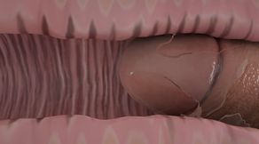 ◆ Dirty-Talking Professor Teaches Sex With Passion & ANAL Creampie