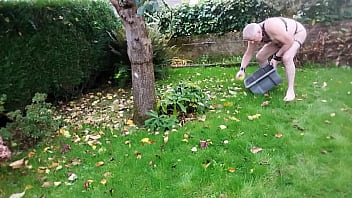 Suite du ramassage de pommes.