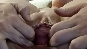 Sparkle Swallows Private Show