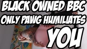 Black OWNED BBC Only PAWG Humiliates You