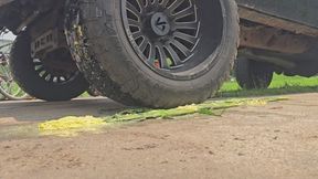 Corn runover