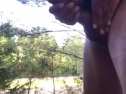 Big Black dick flash roadside